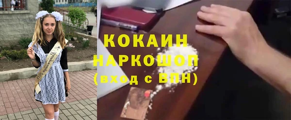 индика Арсеньев