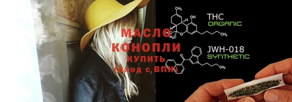 индика Арсеньев