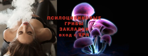 индика Арсеньев