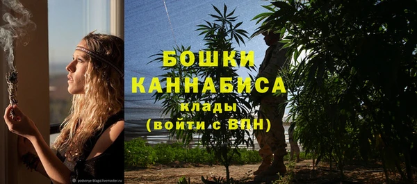 амф Аркадак
