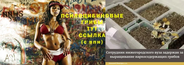 спайс Армянск