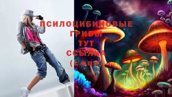 СК Михайловск