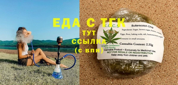 индика Арсеньев