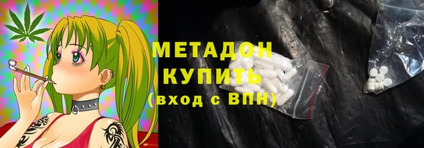 индика Арсеньев
