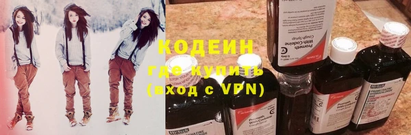 индика Арсеньев